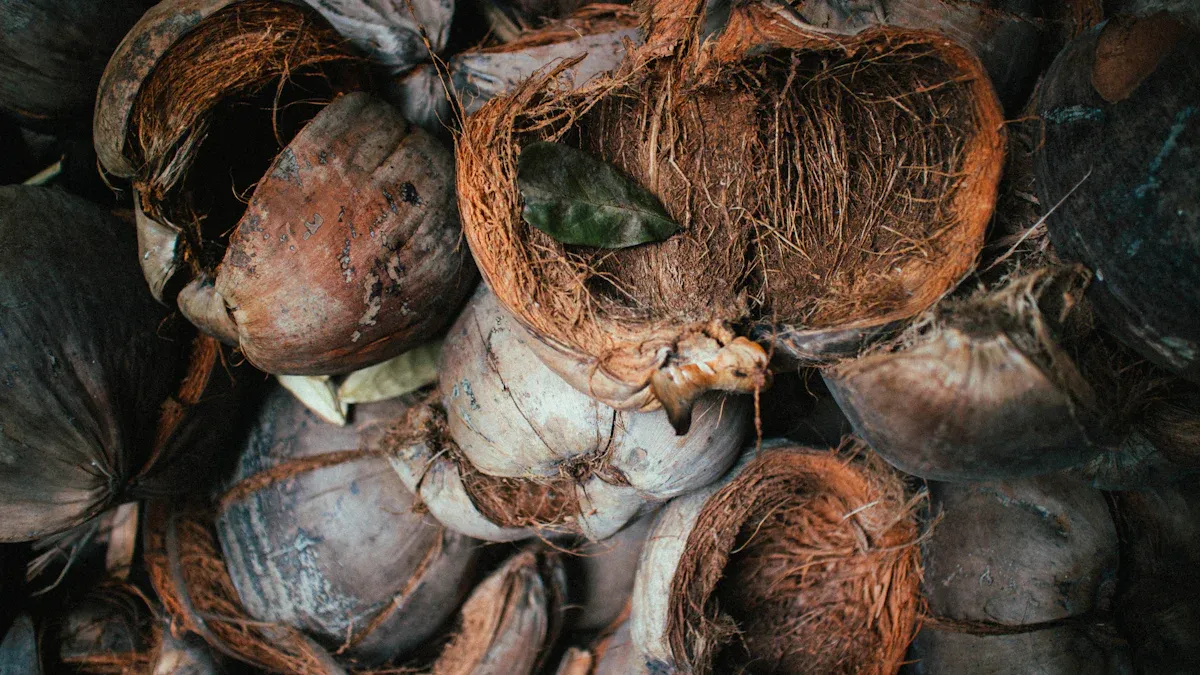 What Is Coconut Shell Based Activated Carbon