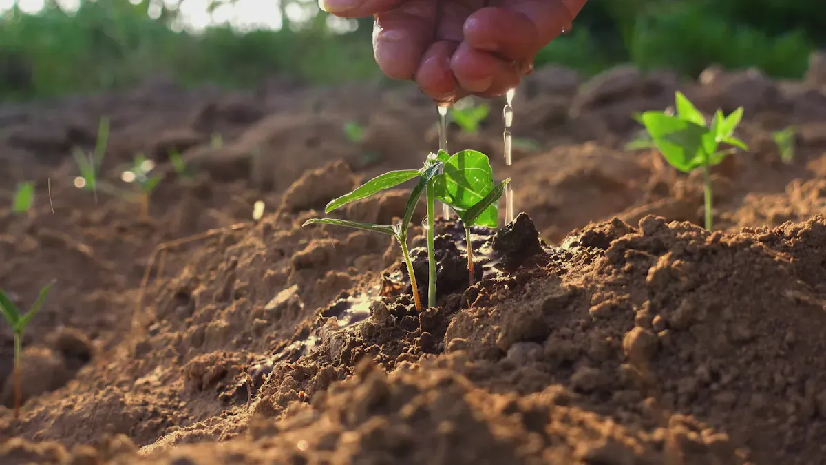 Activated Carbon Benefits In Soil