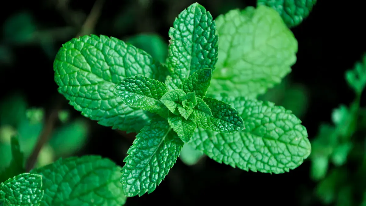 Benefits Of Organic Odor Treatment With Activated Carbon