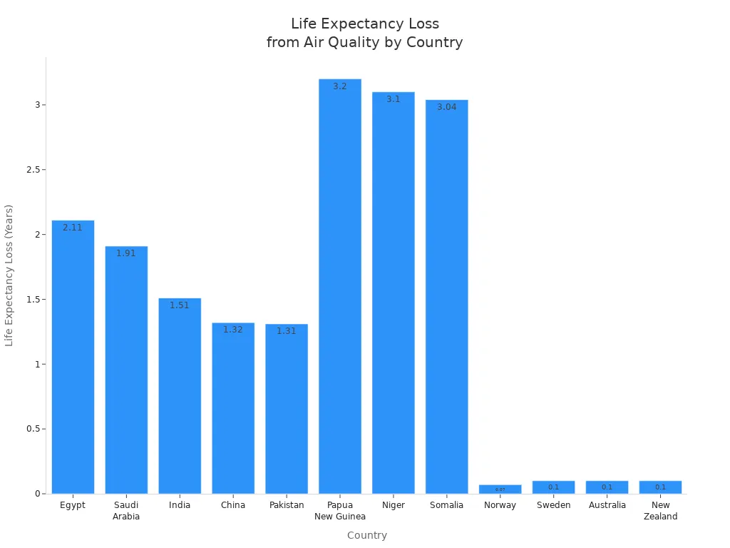Bar chart comparing life expectancy loss due to air quality in various countries