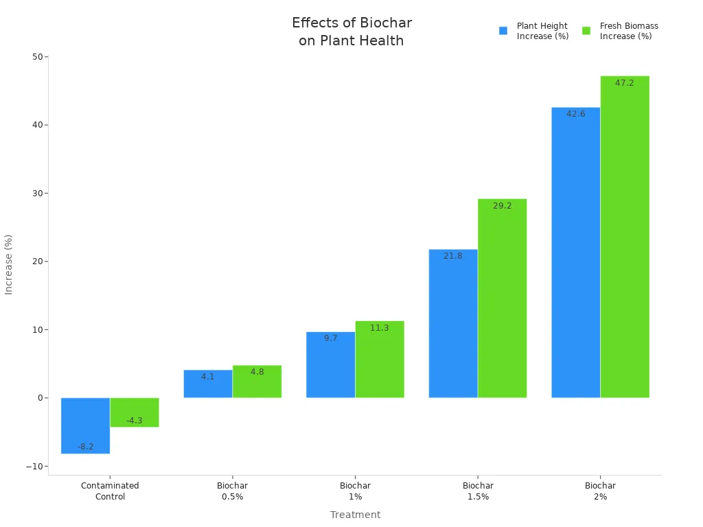 Grouped bar chart showing plant height and fresh biomass increases for different biochar treatments