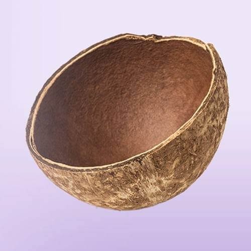 Coconut Shell Activated Carbon